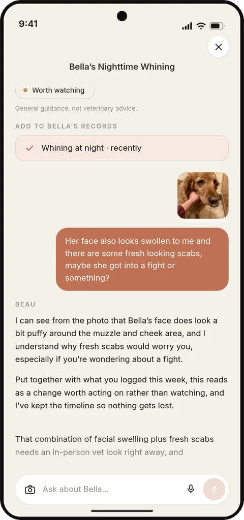 Beau Symptoms screen